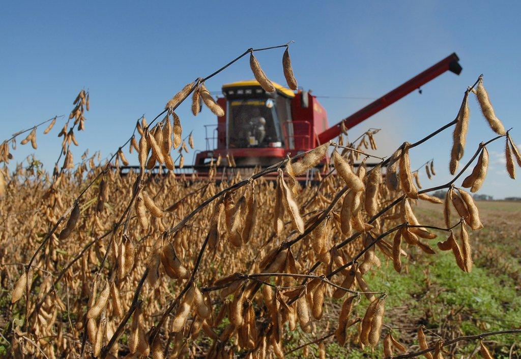 El campo vuelve a apostar: el 64% cree que es un buen momento para invertir, aunque la confianza cae 2,7%